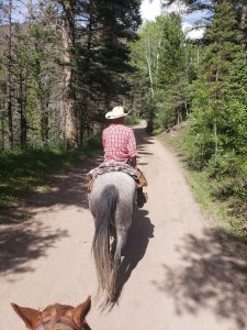 Guided horseback riding in Ouray CO